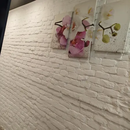 Apartment Lviv 公寓 利沃夫